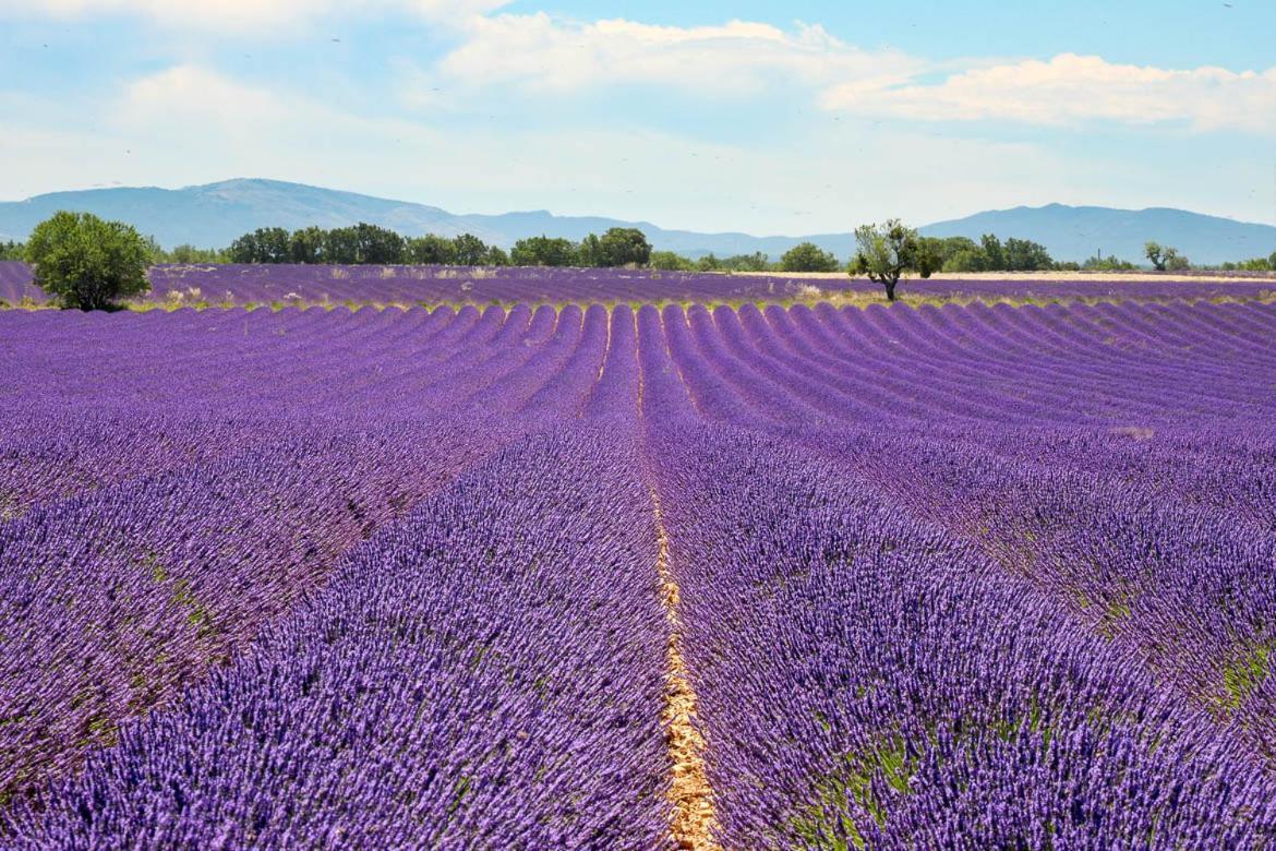 Dans Le Verdon Allemagne-en-Provence